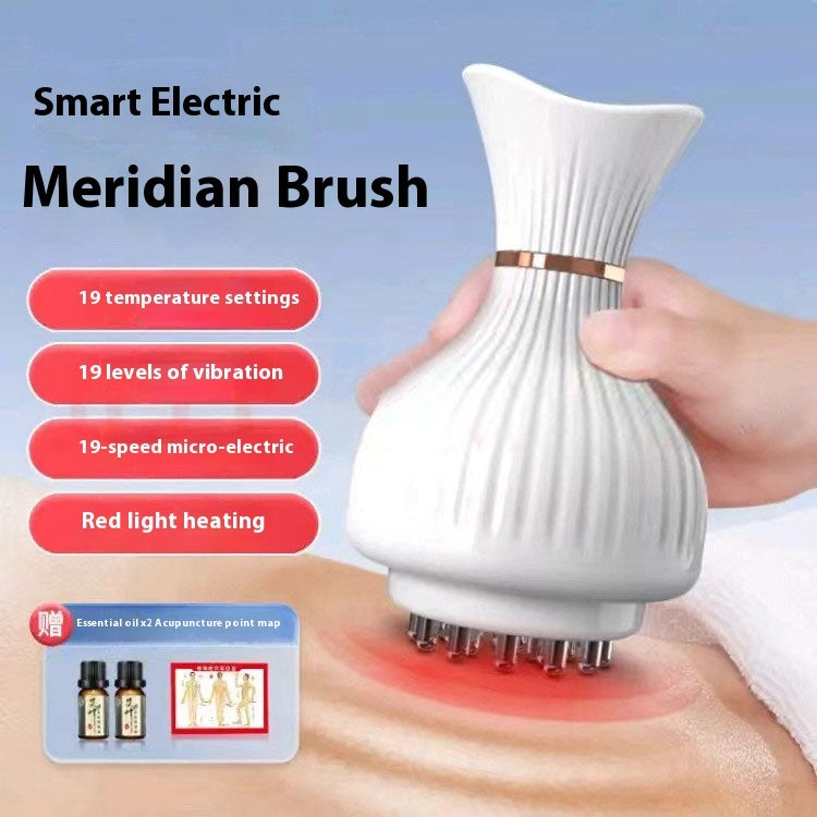 household electric meridian brush