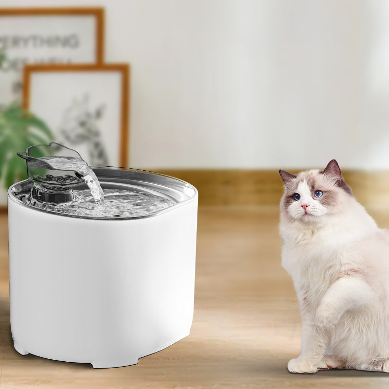 automatic cat water fountain