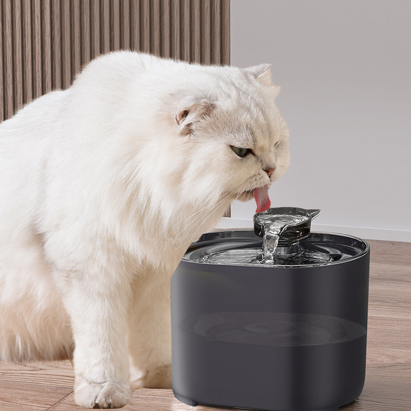 automatic cat water fountain