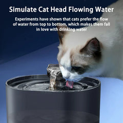 automatic cat water fountain